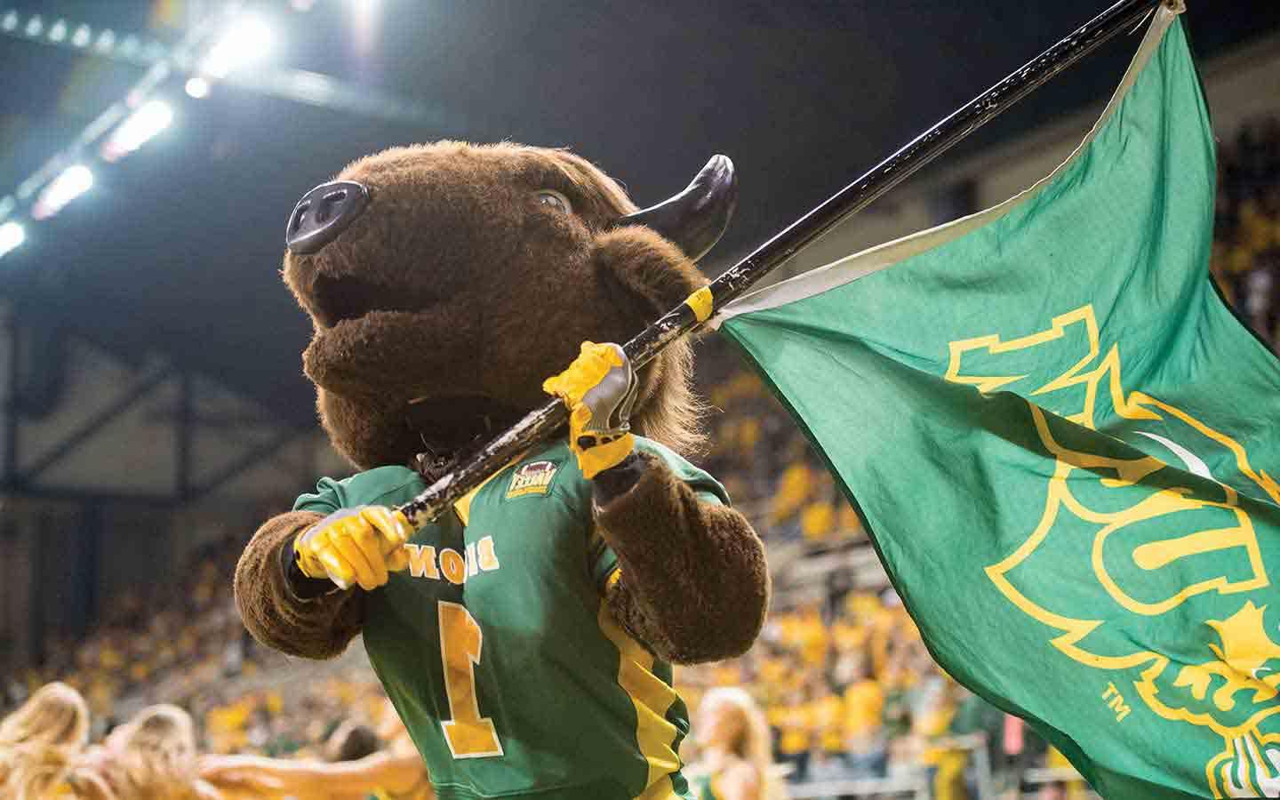 bison mascot with flag